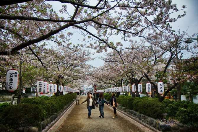 04_Уникальный фототур по Японии от Криса Лакхардта