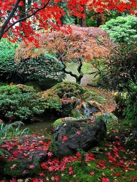 Философия японского сада