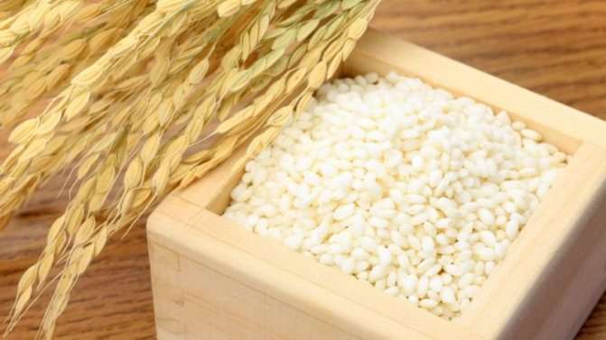 Как называются японские сорта риса и в чем их особенности