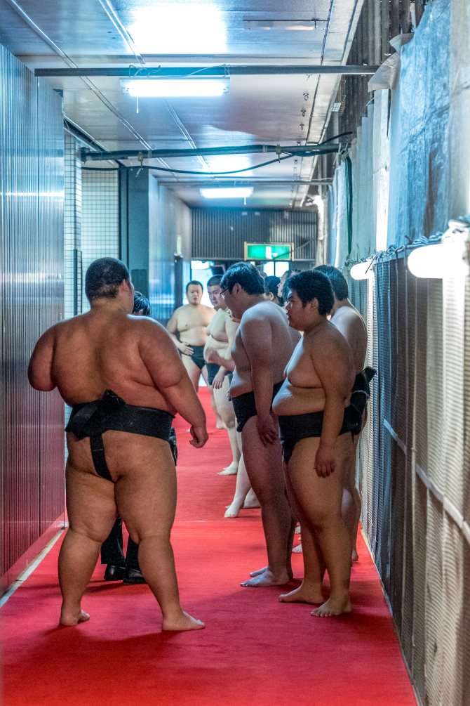 Как попасть на сумо в Японии