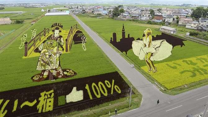 Найти клочок необработанной земли в Японии почти невозможно. А рисовые поля могут стать еще и арт-площадкой