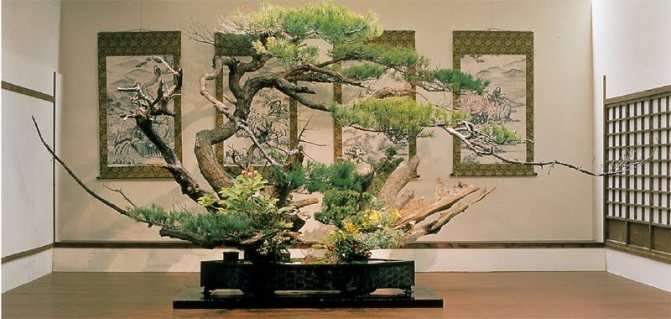 Rokkakudo - начало культуры Ikebana в Японии