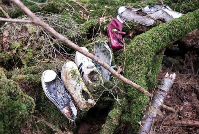 старая обувь в лесу, лес самоубийц аокигахара