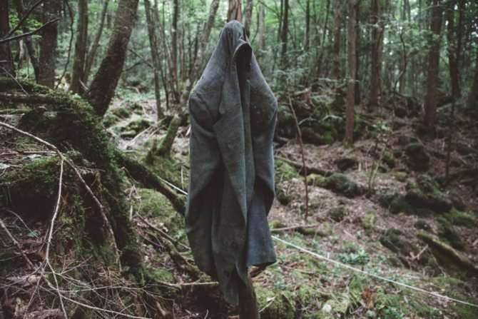 старый пиджак на ветке, лес самоубийц аокигахара