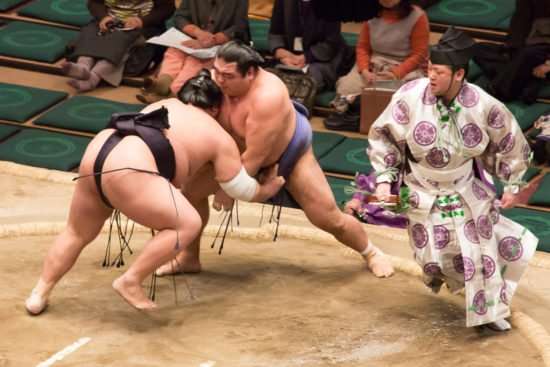 японские борцы сумо